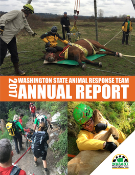 2017 Annual Report