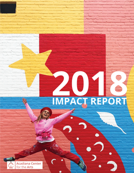 Impact Report