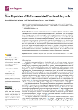 Gene Regulation of Biofilm-Associated Functional