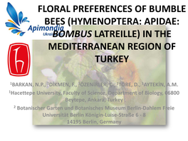 Floral Preferences of Bumble Bees (Hymenoptera: Apidae: Bombus Latreille) in the Mediterranean Region of Turkey