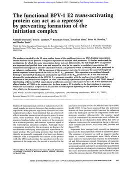 The Functional BPV-1 E2 Trans-Activating Rotem Can Act As a Repressor Y Preventing Formation of the Initiation Complex