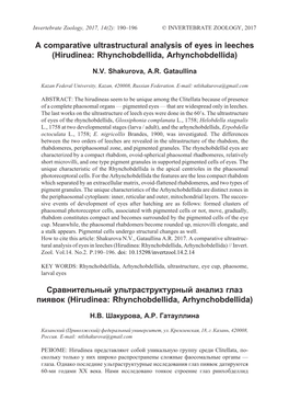 A Comparative Ultrastructural Analysis of Eyes in Leeches (Hirudinea: Rhynchobdellida, Arhynchobdellida)