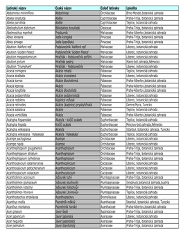 Latinský Název Český Název Čeleď Latinsky Lokalita Abdominea Minimiflora Abdominea Orchidaceae Brno-Mendel.Botanická