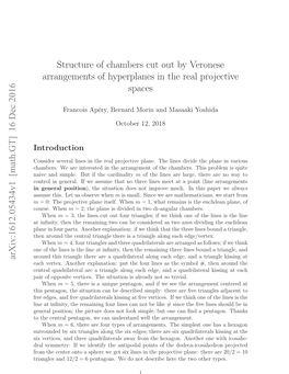 Structure of Chambers Cut out by Veronese Arrangements Of