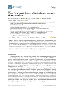 Three New Lizard Species of the Liolaemus Montanus Group from Perú