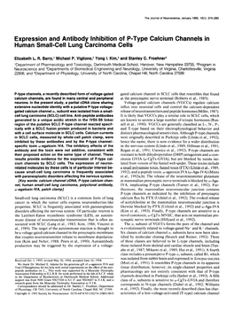 Expression and Antibody Inhibition of P-Type Calcium Channels in Human Small-Cell Lung Carcinoma Cells