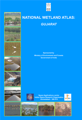 National Wetland Atlas: Gujarat