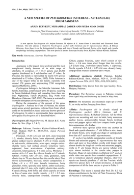 A New Species of Psychrogeton (Astereae ˗ Asteraceae) from Pakistan