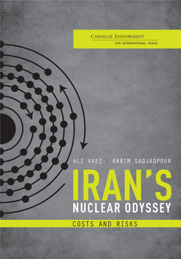 Iran's Nuclear Odyssey: Costs and Risks