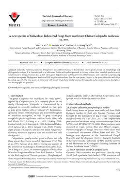 A New Species of Foliicolous Lichenized Fungi from Southwest China: Calopadia Ruiliensis Sp