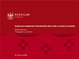 Roskilde Kommunes Erfaringer Med Vand & Klimatilpasning