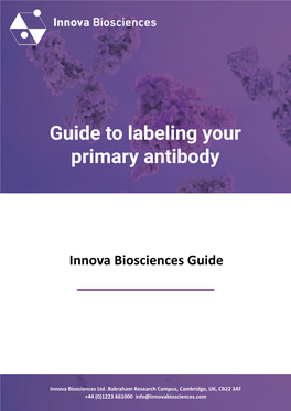 Guide to Labeling Your Primary Antibody