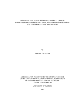 Microbial Ecology of Anaerobic Terminal Carbon Mineralization in Everglades Soils, with Emphasis on Sulfate- Reducing Prokaryotic Assemblages