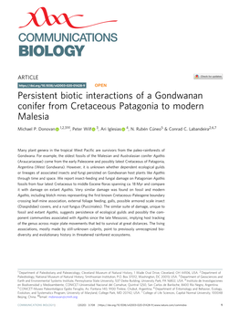 Persistent Biotic Interactions of a Gondwanan Conifer from Cretaceous Patagonia to Modern Malesia ✉ Michael P