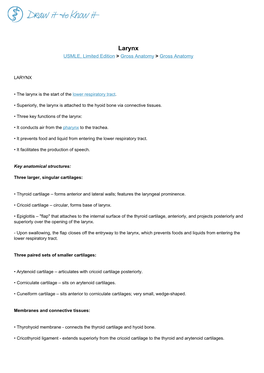 Larynx USMLE, Limited Edition > Gross Anatomy > Gross Anatomy