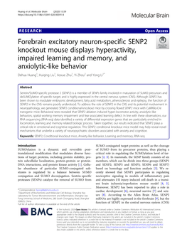 Forebrain Excitatory Neuron-Specific SENP2 Knockout Mouse Displays