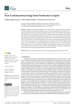 New Coelomycetous Fungi from Freshwater in Spain