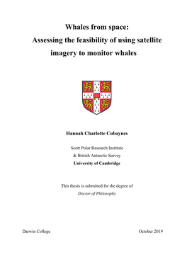 Assessing the Feasibility of Using Satellite Imagery to Monitor Whales