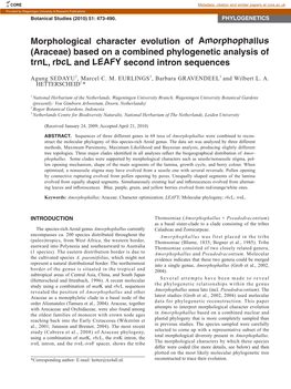 Morphological Character Evolution of Amorphophallus (Araceae) Based on a Combined Phylogenetic Analysis of Trnl, Rbcl and LEAFY Second Intron Sequences