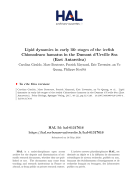 Lipid Dynamics in Early Life Stages of the Icefish Chionodraco Hamatus In