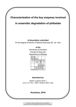 Characterization of the Key Enzymes Involved in Anaerobic Degradation
