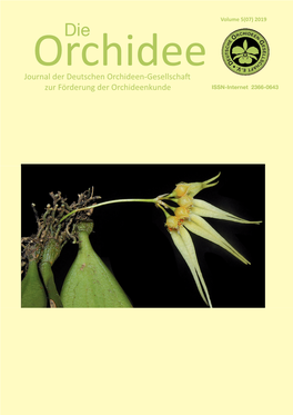 Bulbophyllum Claviforme, Eine Neue Art Aus Vietnam