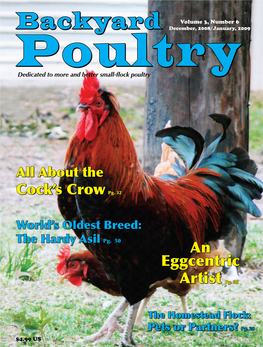 Breeds: Behind the Hen Saver® Asils