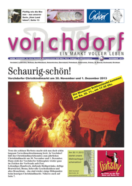 Tipp2013-11.Pdf