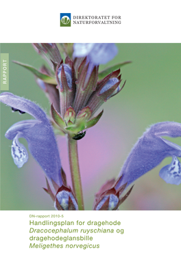 Handlingsplan for Dragehode Dracocephalum Ruyschiana Og Drage­Hode­Glans­Bille Meligethes Norvegicus DN-Rapport 2010-5