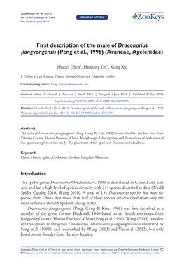 First Description of the Male of Draconarius Jiangyongensis (Peng Et Al., 1996) (Araneae, Agelenidae)