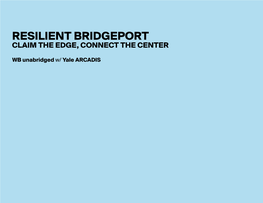 Resilient Bridgeport Claim the Edge, Connect the Center
