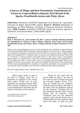 A Survey of Thrips and Their Potential for Transmission of Viruses to Crops in Biskra (Algeria): First Record of the Species Frankliniella Intonsa and Thrips Flavus