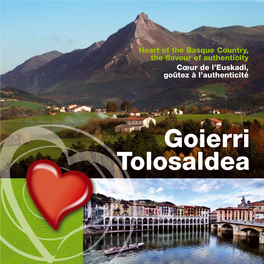 Goierri Tolosaldea