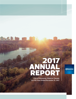 2017 Financial Annual Report