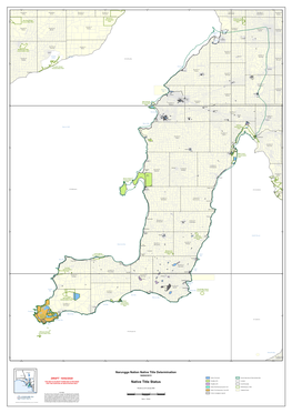 Native Title Status