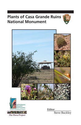 Plants of Casa Grande Ruins National Monument