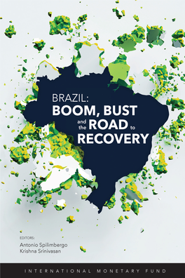 BRAZIL: BOOM, BUST, and the ROAD to RECOVERY