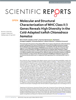 Molecular and Structural Characterization of MHC Class II Β