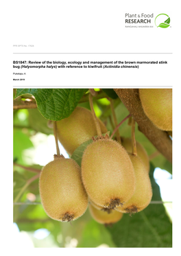 Halyomorpha Halys) with Reference to Kiwifruit (Actinidia Chinensis