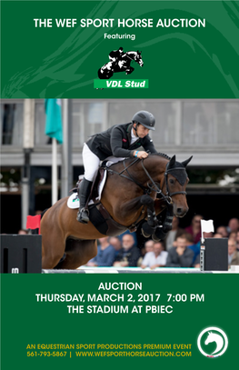 THE WEF SPORT HORSE AUCTION Featuring