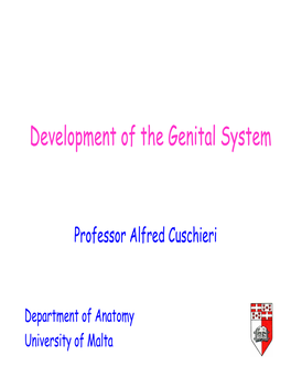 Development of the Genital System