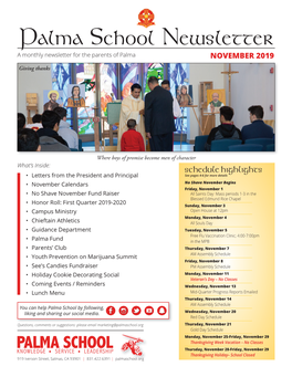 Palma Newsletter Nov 2019.Indd