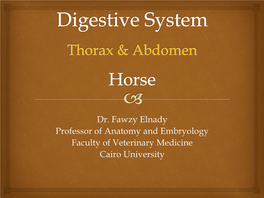 Dr. Fawzy Elnady Professor of Anatomy and Embryology Faculty of Veterinary Medicine Cairo University Objectives  By the End of This Lecture You Should Be Able To