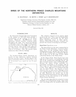 Birds of the Northern Prince Charles Mountains Antarctica