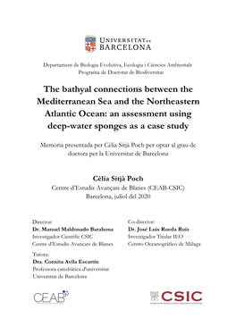 The Bathyal Connections Between the Mediterranean Sea and the Northeastern Atlantic Ocean: an Assessment Using Deep-Water Sponges As a Case Study