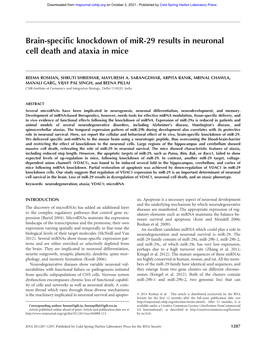 Brain-Specific Knockdown of Mir-29 Results in Neuronal Cell Death and Ataxia in Mice