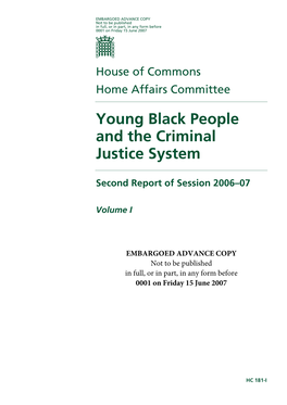 Young Black People and the Criminal Justice System
