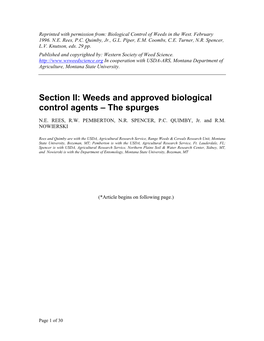 Leafy Spurge Euphorbia Esula (Complex) Spurge Family - Euphorbiaceae