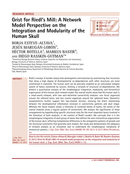 Grist for Riedls Mill: a Network Model Perspective on the Integration and Modularity of the Human Skull