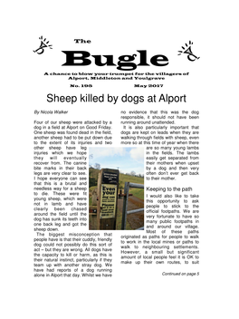 Sheep Killed by Dogs at Alport